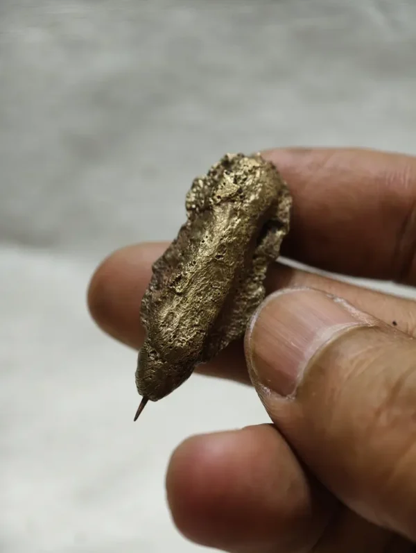 Kepompong Wesi Kuning Kuno