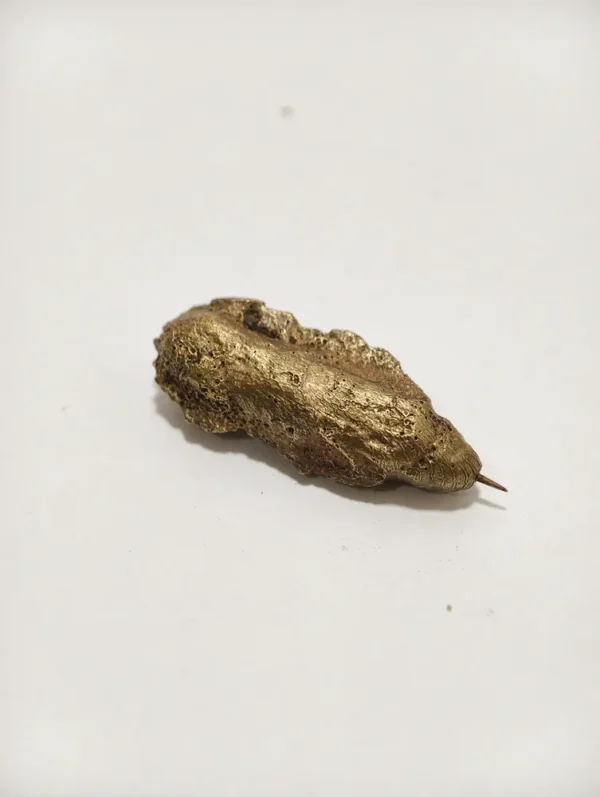Kepompong Wesi Kuning Kuno
