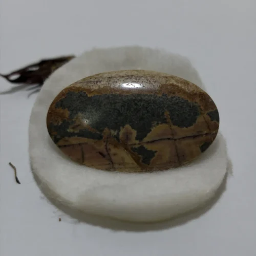 Mustika Macan Kumbang