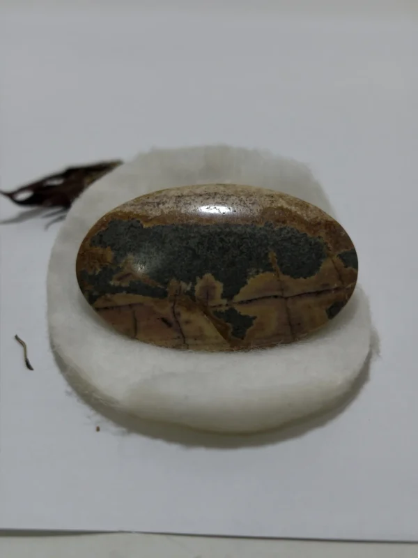 Mustika Macan Kumbang