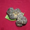 Pusaka Sanghyang Gandarwa