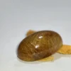 Batu Mustika Jawara