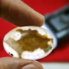 Batu Mustika Khodam Putih – Keselamatan & Rezeki