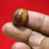 Batu Mustika Raja Naga Gaib Warna Merah Daging dengan Pamor Kuning Keemasan Membentuk Sosok Ular Naga