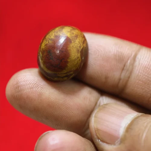 Batu Mustika Raja Naga Gaib Warna Merah Daging dengan Pamor Kuning Keemasan Membentuk Sosok Ular Naga