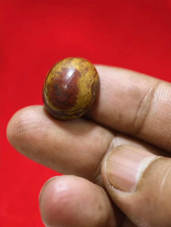 Batu Mustika Raja Naga Gaib Warna Merah Daging dengan Pamor Kuning Keemasan Membentuk Sosok Ular Naga