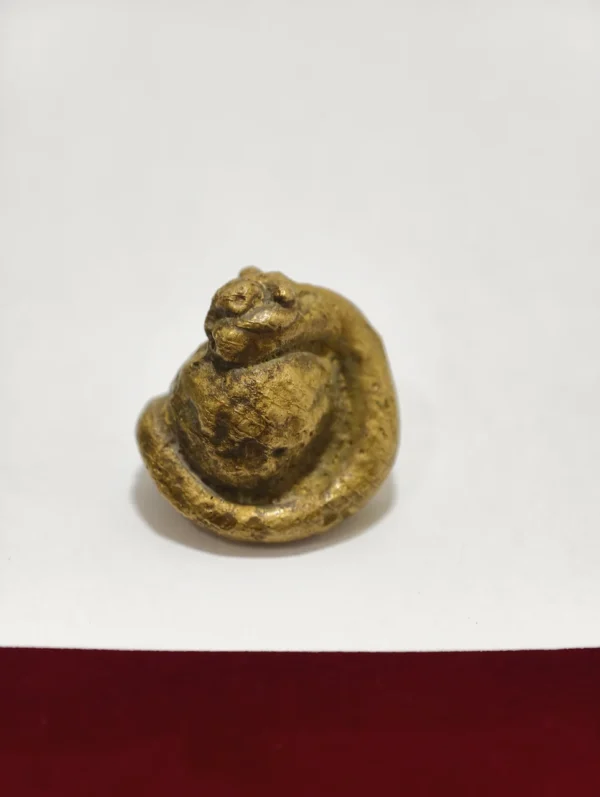 Mustika Bertuah Naga Bhumi