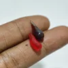 Mustika Delima Jaga Karsa