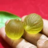 Mustika Kelapa Gading
