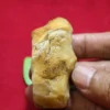 Mustika Kencono Wungu