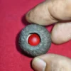 Mustika Merah Delima