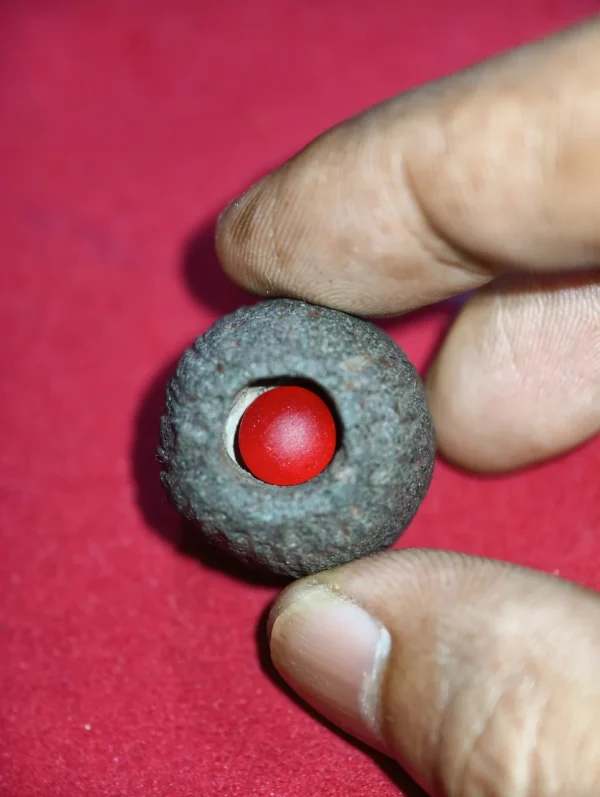 Mustika Merah Delima