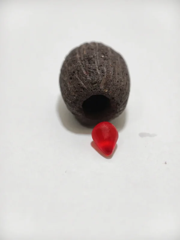 Mustika Merah Delima