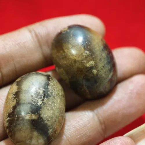 Batu Mustika Siluman Macan Kembar