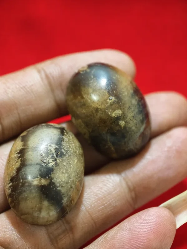 Batu Mustika Siluman Macan Kembar
