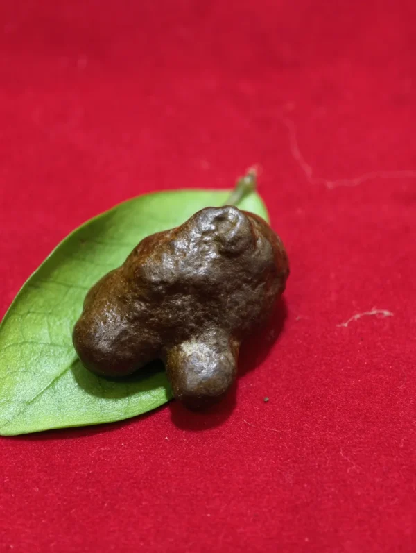 Batu Aji Mbah Sakri Banyuwangii Batu Aji Mbah Sakri Banyuwangi