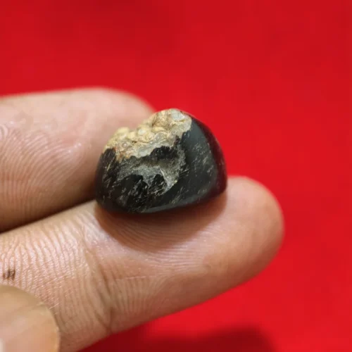 Batu Mustika Eyang Trenggono Fosil Kayu Batu Mustika Eyang Trenggono