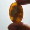 Batu Mustika Jagat Nata Asli