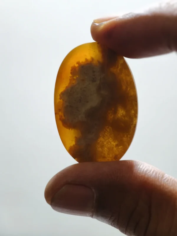 Batu Mustika Jagat Nata Asli