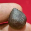 Batu Mustika Kelapa Syekh Barat Ketigo - Pelaris & Jabatan