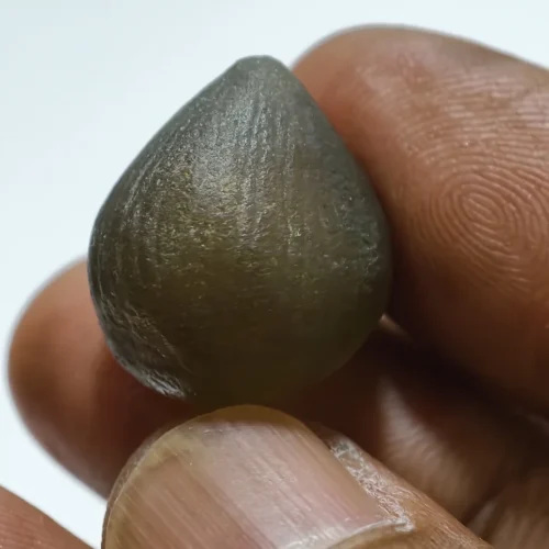 Batu Mustika Kelapa Syekh Barat Ketigo