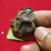 Batu Mustika Lamatan Sewu