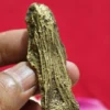 Dyah Garbini Cabean Kunti - Pengasihan Jimat Dyah Garbini Cabean Kunti