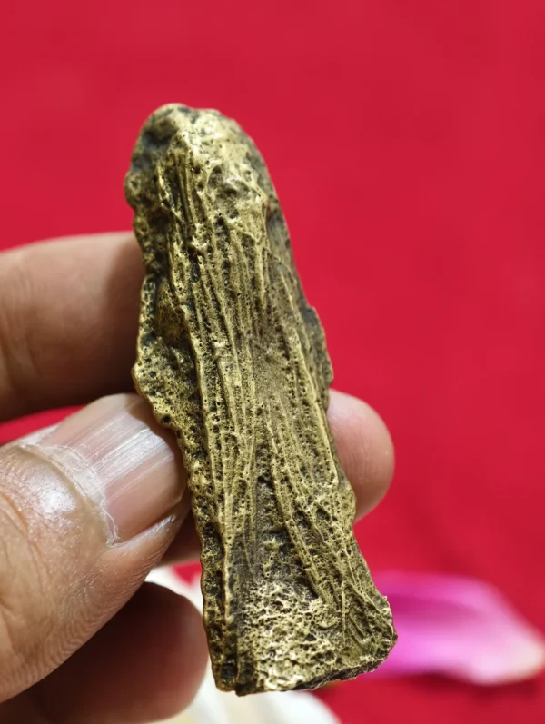 Dyah Garbini Cabean Kunti - Pengasihan Jimat Dyah Garbini Cabean Kunti