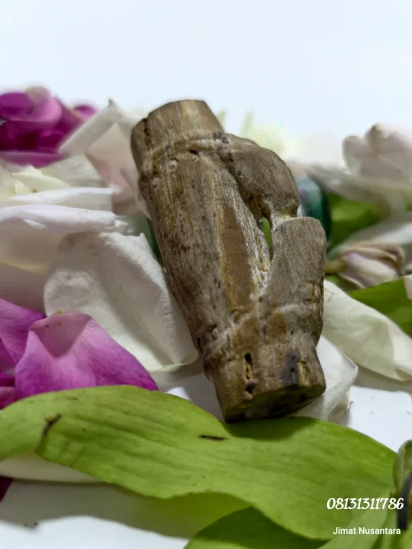 Fosil Bambu Pethuk Ki Ageng Baradin