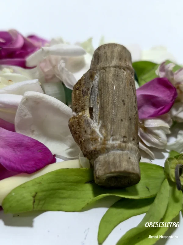 Fosil Bambu Pethuk Ki Ageng Baradin