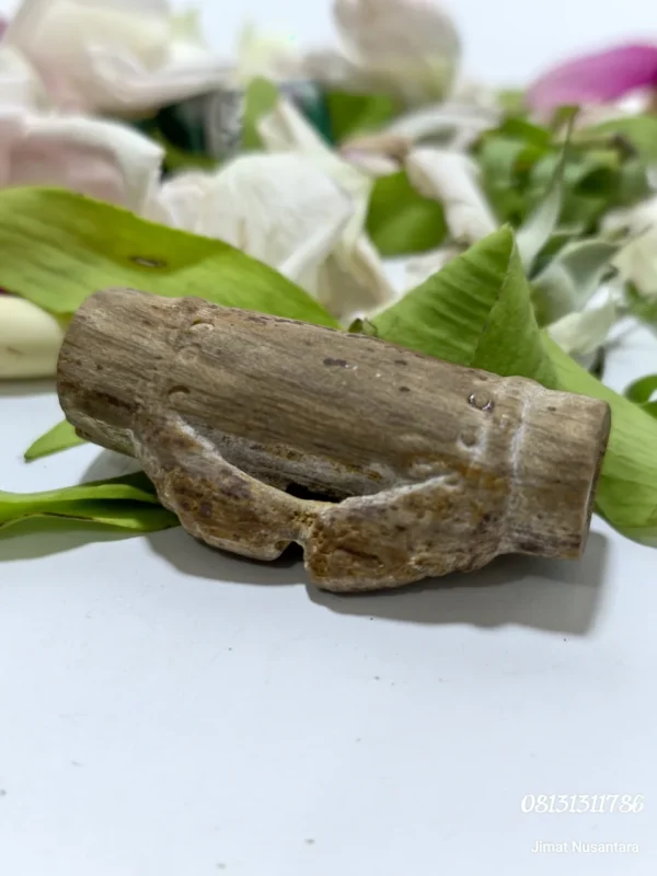 Fosil Bambu Pethuk Ki Ageng Baradin