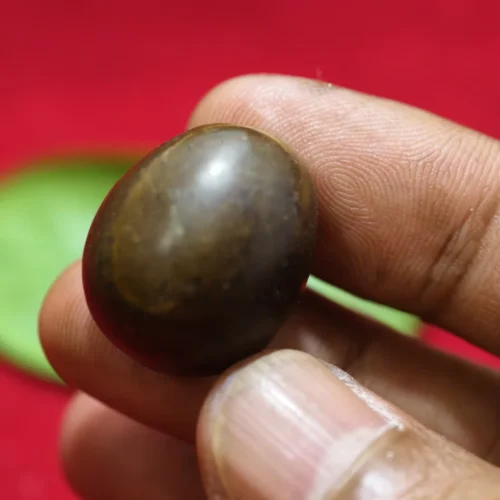 Geliga Ular Keramat