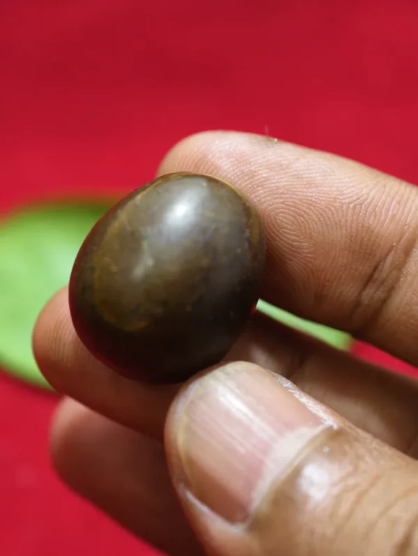 Geliga Ular Keramat Geliga Ular Keramat
