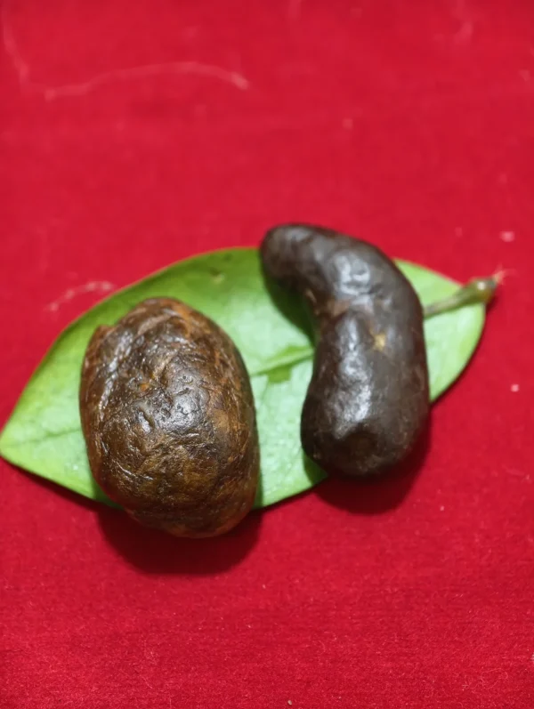 Jimat Kejadugan Joyoboya Jimat Kejadugan Joyoboyo