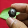 Mustika Baron Sekeber Asli Patiayam - Sarana Keselamatan & Pagar Gaib Mustika Baron Sekeber