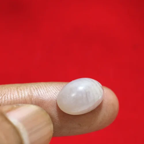 Mustika Batu Lipan Istimewa Pengasihan Dan Pelarisan