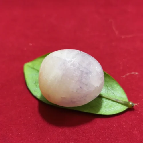 Mustika Batu Penglaris asli Mustika Batu Penglaris