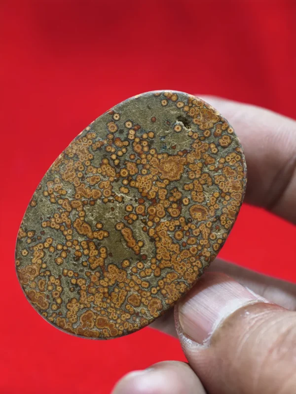 Mustika Batu Timang Sabuk Punggawa Majapahit