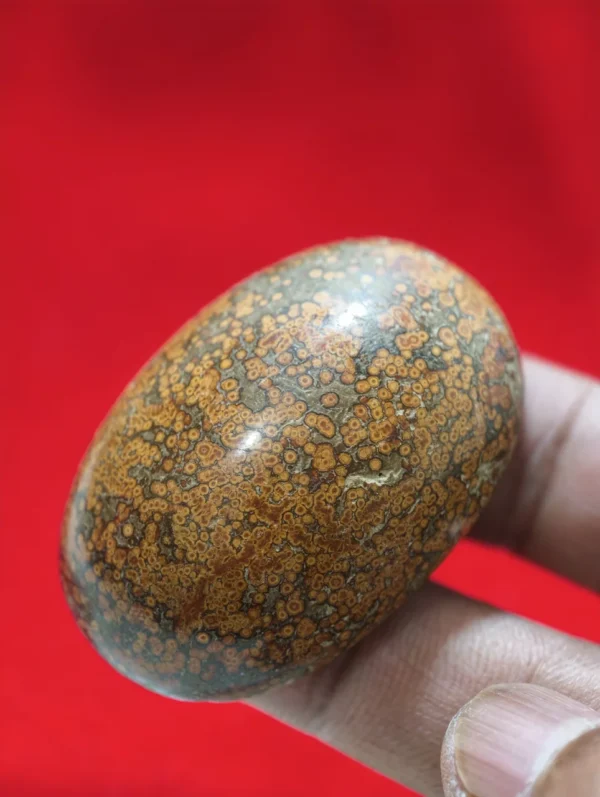 Mustika Batu Timang Sabuk Punggawa Majapahit