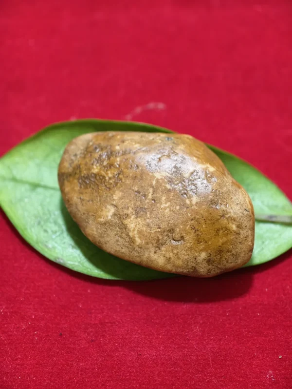 Mustika Buntad Kebal Kembang Lampir - Keselamatan & Wibawa