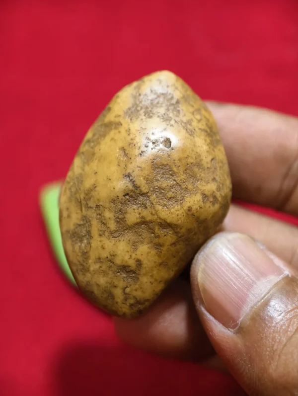 Mustika Buntad Kebal Kembang Lampir