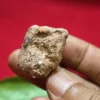 Mustika Cakra Tunggal Morotope Mustika Cakra Tunggal Morotopo - Aura Pemimpin & Tender