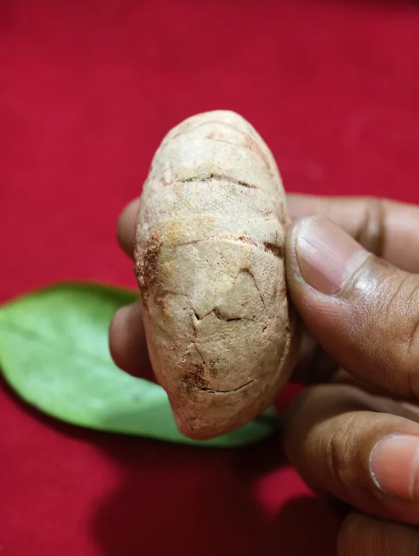Mustika Jabang Sukma - Kerejekian & Keberuntungan