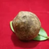 Mustika Kebal Karosane Mustika Kebal Karosan