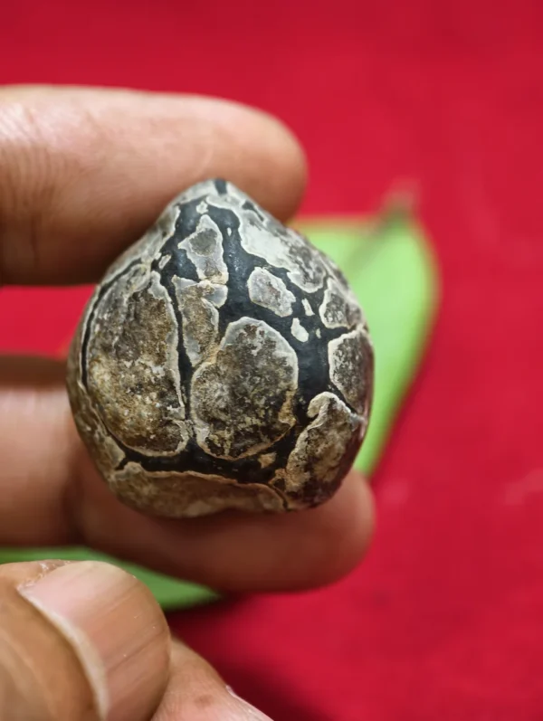 Mustika Kebal Ki Cokrobirowo Mustika Kebal Ki Cokrobirowo