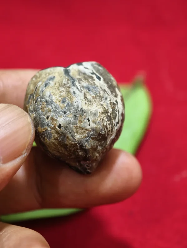 Mustika Kebal Ki CokrobirowoE Mustika Kebal Ki Cokrobirowo