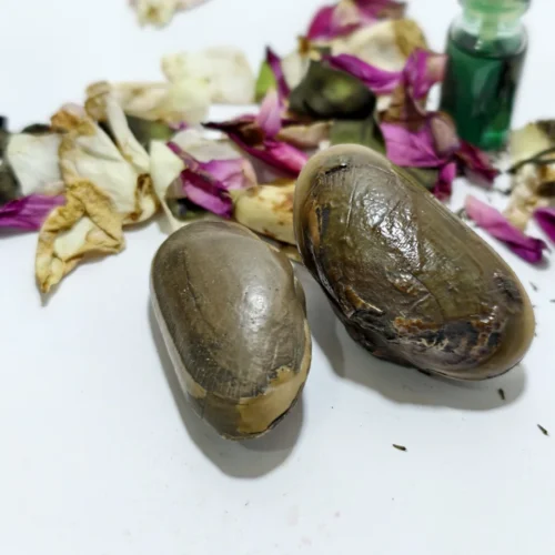 Mustika Kebal Sunan Andong Wilis Mustika Kebal Sunan Andong Wilis