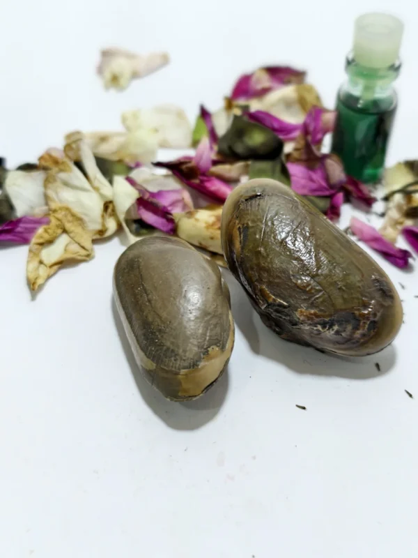 Mustika Kebal Sunan Andong Wilis Mustika Kebal Sunan Andong Wilis