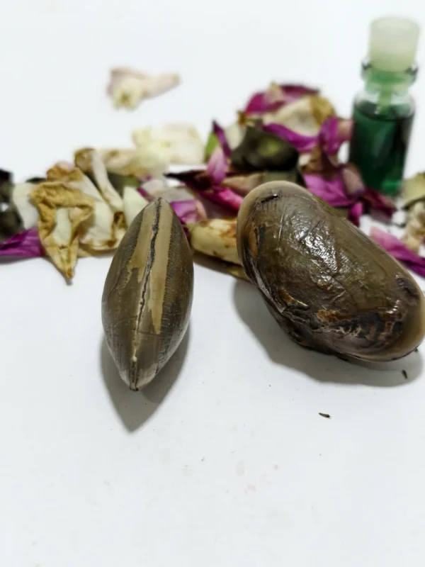 Mustika Kebal Sunan Andong Wiliss Mustika Kebal Sunan Andong Wilis