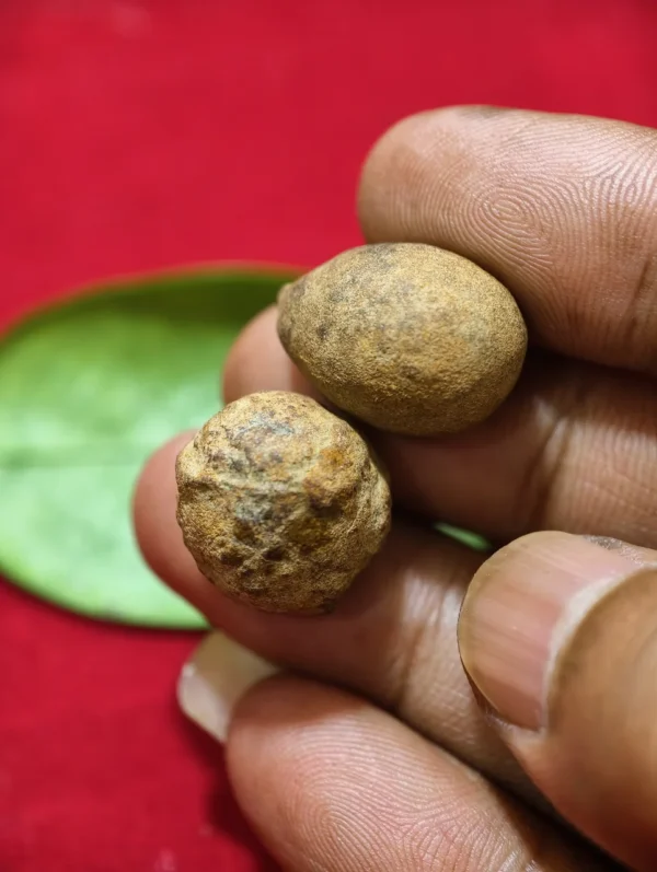 Mustika Kebal Suro Gedug
